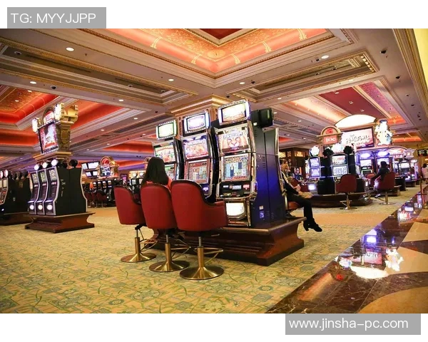 澳门金沙最大博彩-澳门金沙最大的博彩，探索魅力与机遇-澳门金沙最大博彩